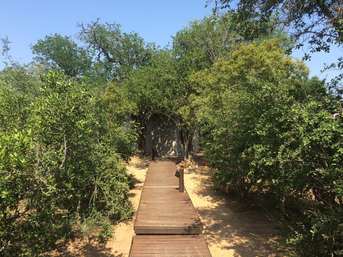 Leadwood Lodge Hoedspruit Eksteriør bilde