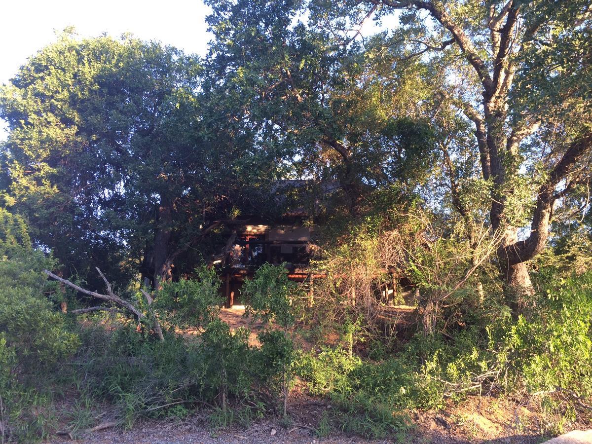 Leadwood Lodge Hoedspruit Eksteriør bilde