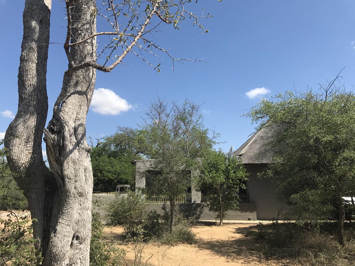 Leadwood Lodge Hoedspruit Eksteriør bilde